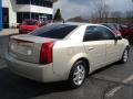 Gold Mist - CTS Sport Sedan Photo No. 7