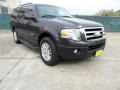 Carbon Metallic 2007 Ford Expedition XLT