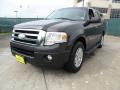 Carbon Metallic - Expedition XLT Photo No. 7