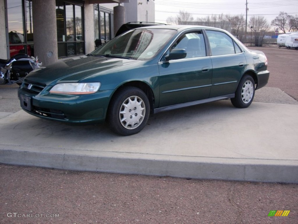 2002 Accord LX Sedan - Noble Green Pearl / Quartz Gray photo #8