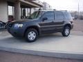 2007 Dark Stone Metallic Ford Escape XLS  photo #5