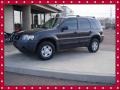 2007 Dark Stone Metallic Ford Escape XLS  photo #9