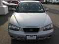 Pewter - Elantra GLS Photo No. 3