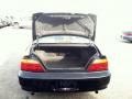 2000 Nighthawk Black Pearl Acura TL 3.2  photo #9