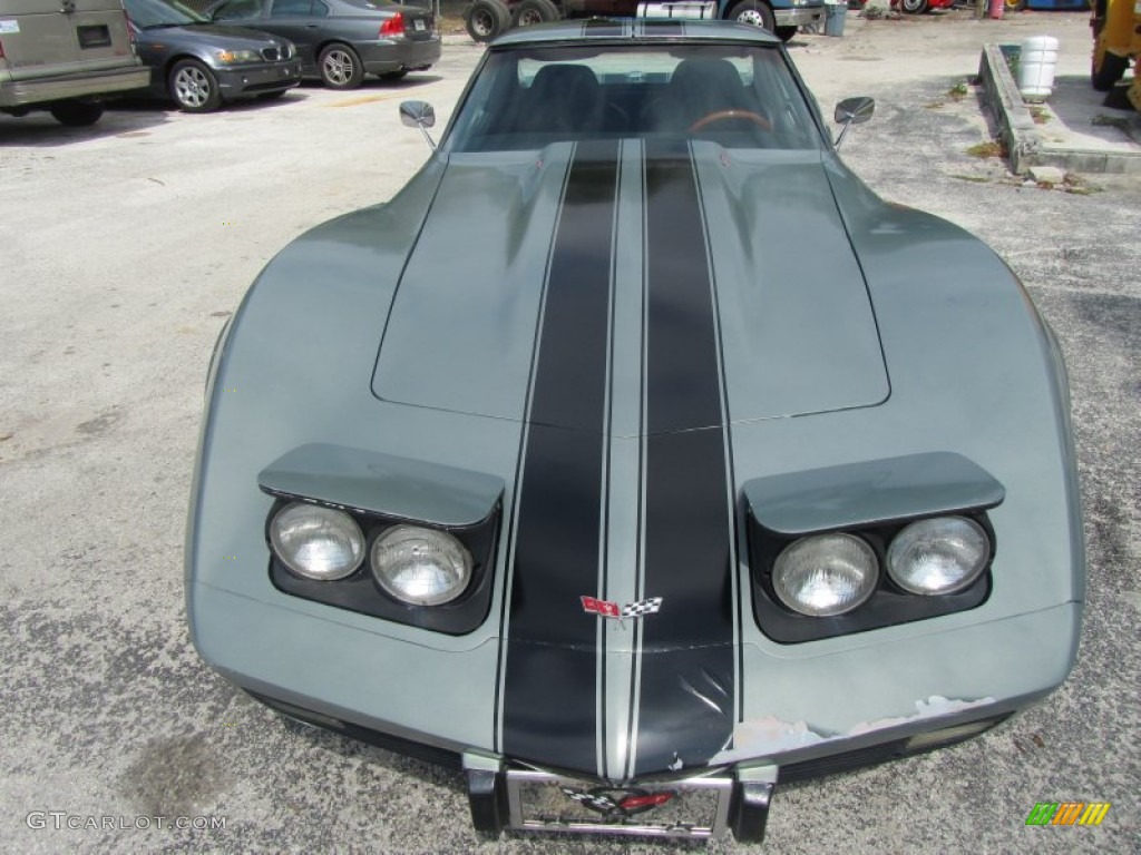 1977 Corvette Custom Coupe - Custom Grey / Black photo #1