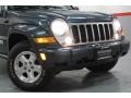 2005 Deep Beryl Green Pearl Jeep Liberty Limited 4x4  photo #14