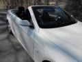2009 Alpine White BMW 3 Series 335i Convertible  photo #16