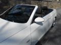 2009 Alpine White BMW 3 Series 335i Convertible  photo #17