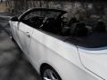2009 Alpine White BMW 3 Series 335i Convertible  photo #18