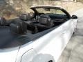 2009 Alpine White BMW 3 Series 335i Convertible  photo #19