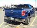 2010 Blue Flame Metallic Ford F150 XLT SuperCrew 4x4  photo #2