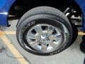 2010 Blue Flame Metallic Ford F150 XLT SuperCrew 4x4  photo #14