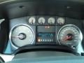 2010 Blue Flame Metallic Ford F150 XLT SuperCrew 4x4  photo #28
