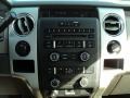 2010 Blue Flame Metallic Ford F150 XLT SuperCrew 4x4  photo #29