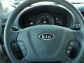 2006 Glacier Blue Kia Sedona EX  photo #31