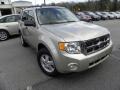 Gold Leaf Metallic 2010 Ford Escape XLT Exterior