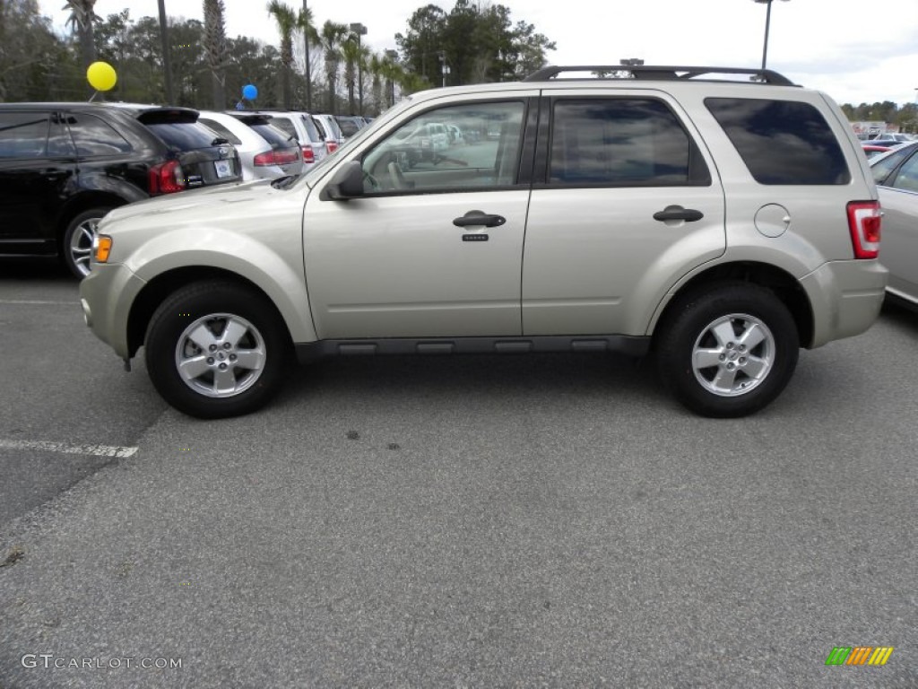Gold Leaf Metallic 2010 Ford Escape XLT Exterior Photo #62234737