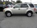 Gold Leaf Metallic 2010 Ford Escape XLT Exterior