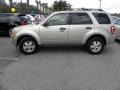 Gold Leaf Metallic 2010 Ford Escape XLT Exterior