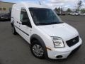 Frozen White 2010 Ford Transit Connect XLT Cargo Van Exterior