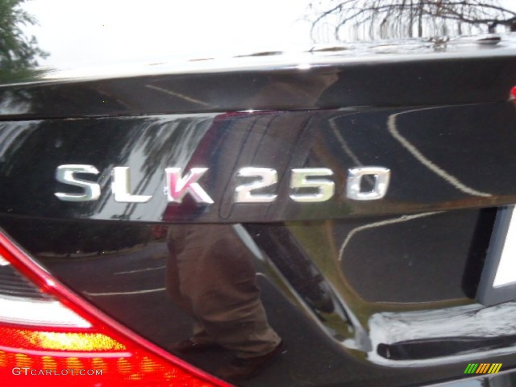 2012 SLK 250 Roadster - Black / Sahara Beige photo #14