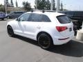 Ibis White - Q5 3.2 quattro Photo No. 10