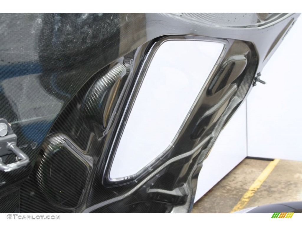 2009 Chevrolet Corvette ZR1 Carbon FIber Hood Photo #62247234