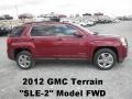 Merlot Jewel Metallic - Terrain SLE Photo No. 1