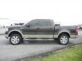 2007 Dark Stone Metallic Ford F150 Lariat SuperCrew 4x4  photo #5