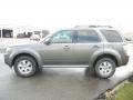 Sterling Grey Metallic - Mariner I4 Photo No. 4