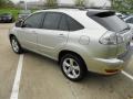 Millenium Silver Metallic - RX 330 Photo No. 5