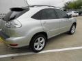 Millenium Silver Metallic - RX 330 Photo No. 7
