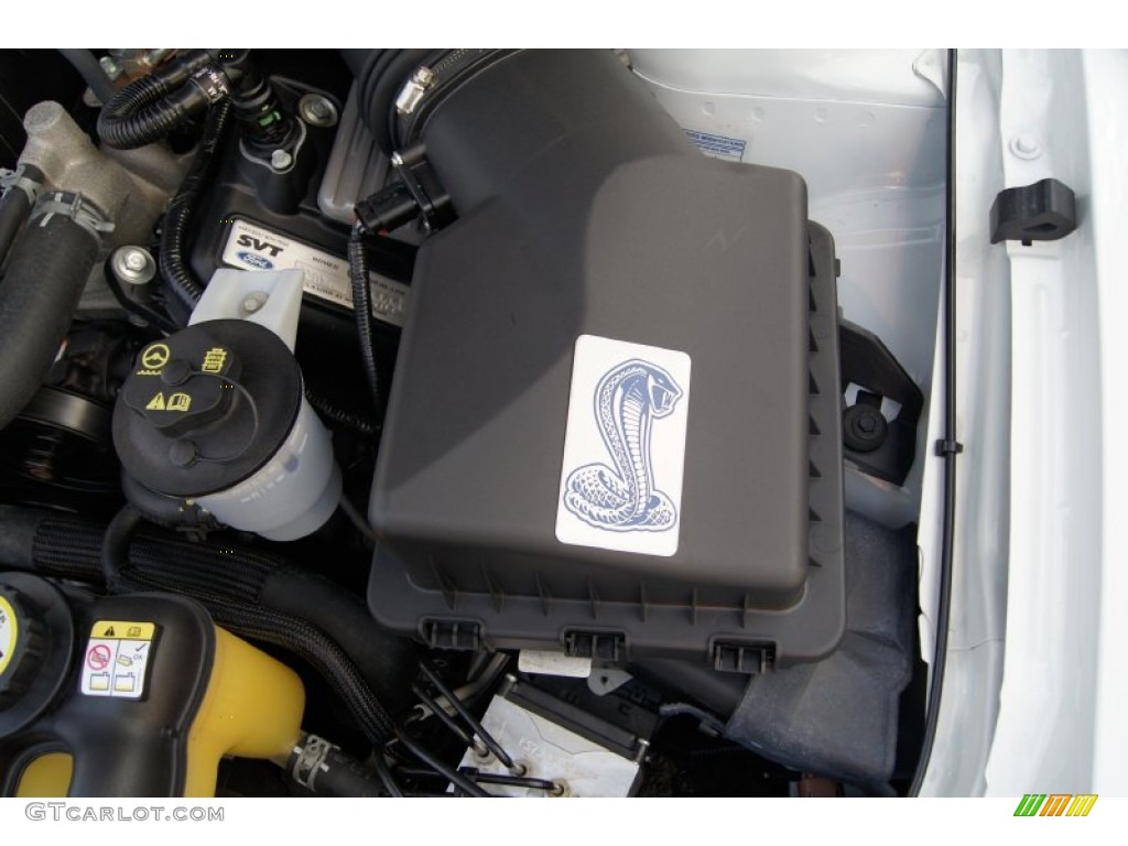 2008 Ford Mustang Shelby GT500 Coupe Marks and Logos Photo #62266525