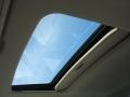 2009 Atomic Blue Metallic Honda Civic EX Sedan  photo #13