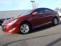 Venetian Red - Sonata Hybrid Photo No. 2