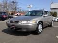 Antique Sage Pearl 1999 Toyota Camry LE V6