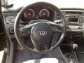 Gray Steering Wheel Photo for 2010 Kia Rio #62275136