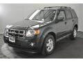 2009 Black Pearl Slate Metallic Ford Escape XLT V6 4WD  photo #1