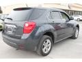 2010 Cyber Gray Metallic Chevrolet Equinox LS  photo #13