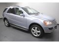 Alpine Rain Metallic - ML 350 4Matic Photo No. 8