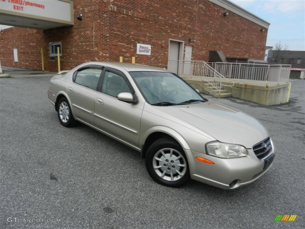2000 Nissan maxima interior colors #2