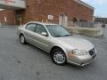 Sunlit Sand Metallic - Maxima GXE Photo No. 1