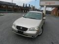 Sunlit Sand Metallic - Maxima GXE Photo No. 2