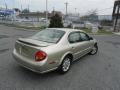Sunlit Sand Metallic - Maxima GXE Photo No. 4