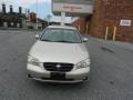 Sunlit Sand Metallic - Maxima GXE Photo No. 16