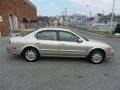Sunlit Sand Metallic - Maxima GXE Photo No. 17