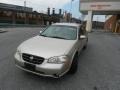 Sunlit Sand Metallic - Maxima GXE Photo No. 23