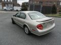 Sunlit Sand Metallic - Maxima GXE Photo No. 25