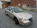 Sunlit Sand Metallic - Maxima GXE Photo No. 26