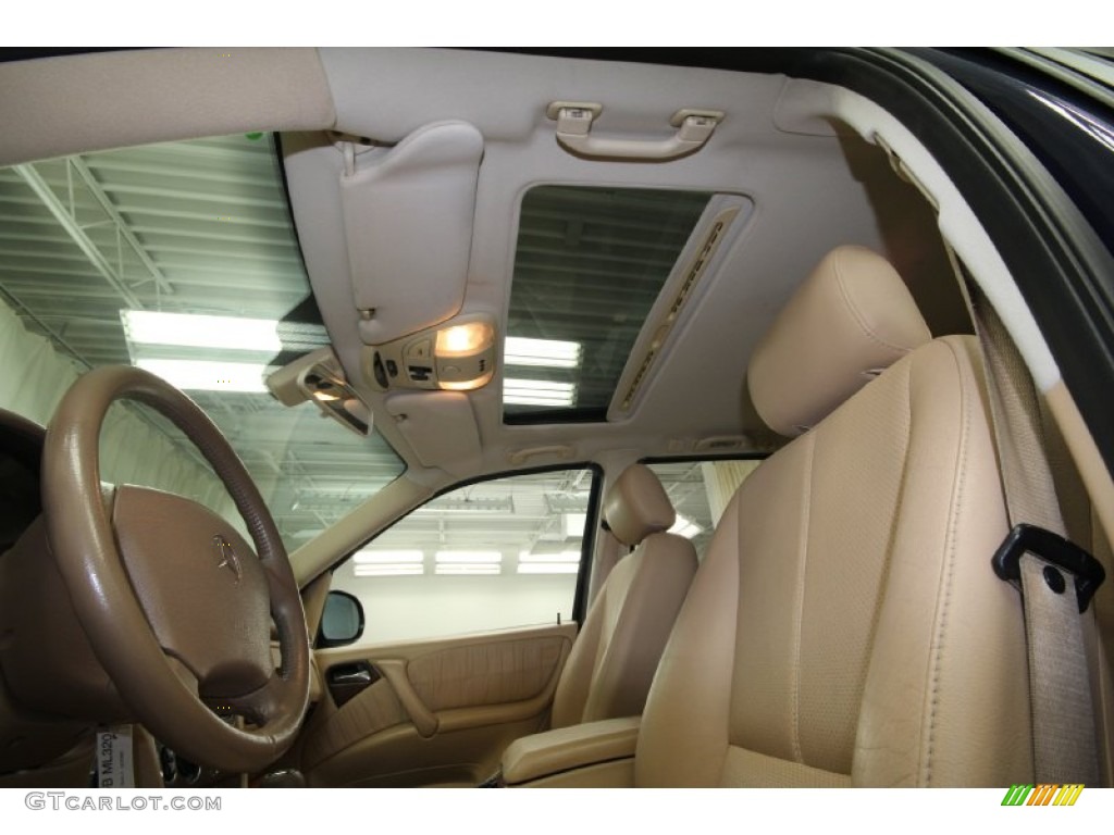 2001 ML 320 4Matic - Azure Blue Metallic / Java photo #27